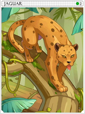 Jaguar Card artwork