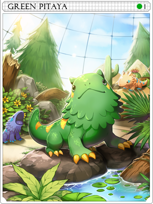 Green Pitaya Card