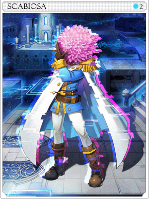 Scabiosa Card artwork