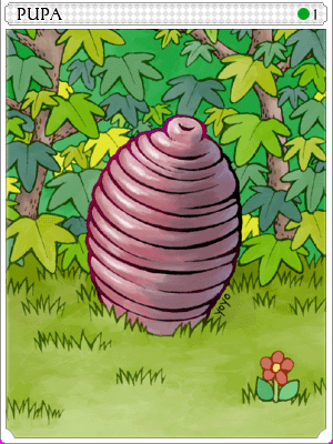 Pupa Card artwork