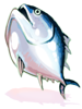 Fresh Tuna Talisman