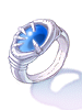 Expedition's Ring