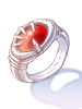 Physical Enhancer Ring