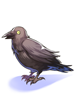 [Not for Sale] Raven Of Tomb