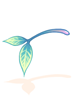 Exotic Temporal Young Leaf